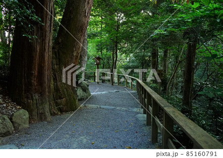 伊勢神宮 外宮 参道 伊勢神宮 外宮 参道 85160791