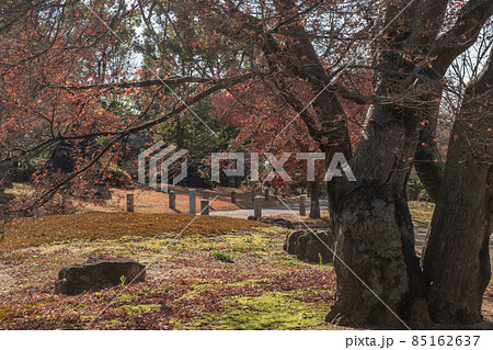 寺院境内 85162637