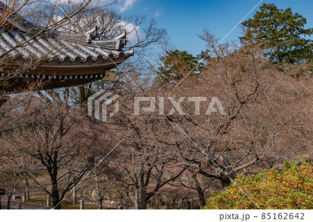 寺院鐘楼 85162642