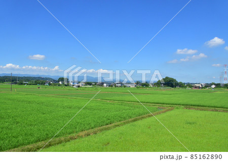 2021年、川越市駅から寄居駅までの東武東上線車窓からの風景 85162890