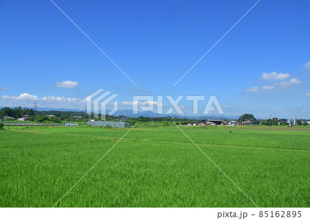 2021年、川越市駅から寄居駅までの東武東上線車窓からの風景 2021年、川越市駅から寄居駅までの東武東上線車窓からの風景 85162895