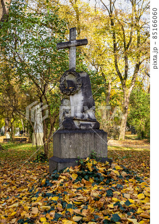 View of famous Old North Cemetery of Munich, Germany with historic gravestones. 85166060