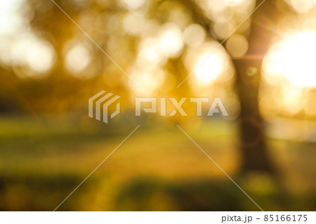 Blurred view of autumn park. Bokeh effect 85166175