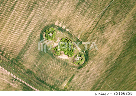 Top down aerial view of green field with canopies of trees in the middle. Top down aerial view of green field with canopies of trees in the middle. 85166859