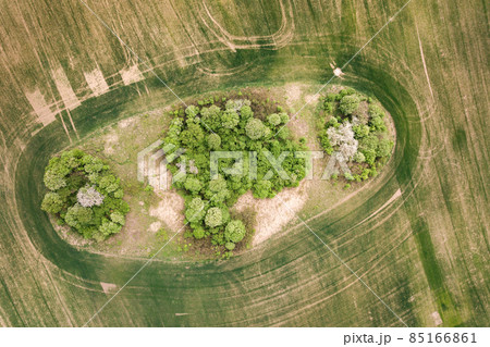 Top down aerial view of green field with canopies of trees in the middle. Top down aerial view of green field with canopies of trees in the middle. 85166861