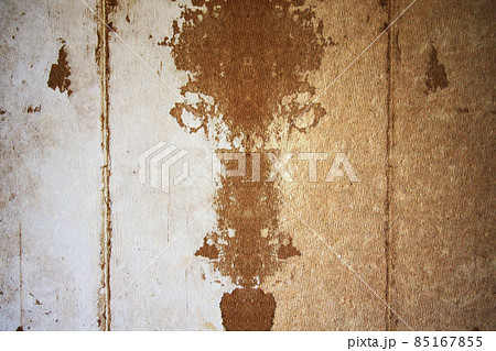 A wall with plaster pattern rough background. Textured backdrop. House repair. A wall with plaster pattern rough background. Textured backdrop. House repair. 85167855