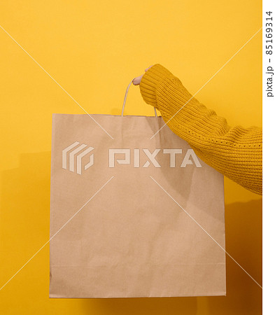 female hand holds a paper disposable bag with handles for groceries and clothes. Recyclable packaging. Zero waste 85169314