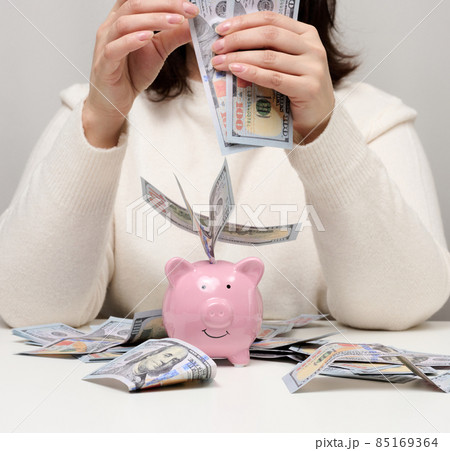 pink ceramic piggy bank and woman with American paper money. Wealth concept, bargain, accumulation. High profitable margin pink ceramic piggy bank and woman with American paper money. Wealth concept, bargain, accumulation. High profitable margin 85169364