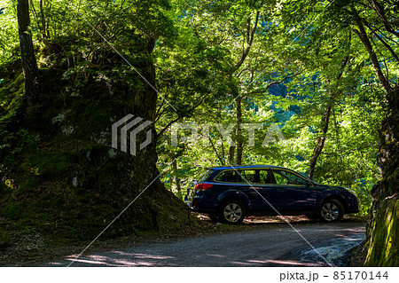 【国道439号線】切通しと車 85170144