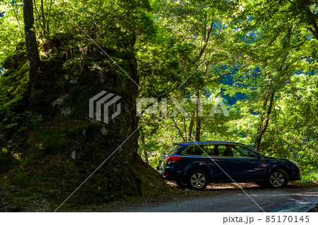 【国道439号線】切通しと車 85170145