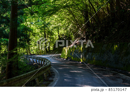 【国道439号線】森の中を進む狭路 【国道439号線】森の中を進む狭路 85170147