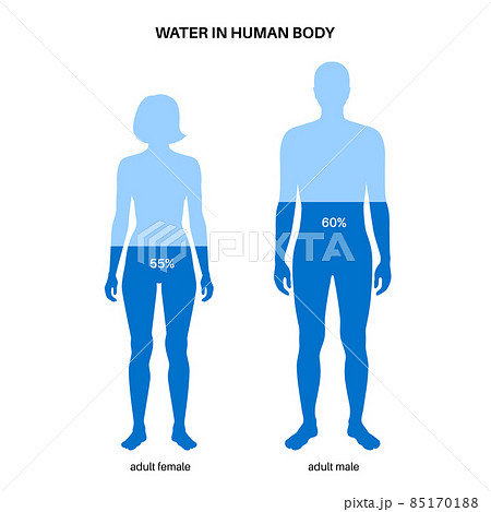 Water body balance Water body balance 85170188