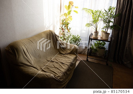 ソファのある部屋(ぼかし) 85170534