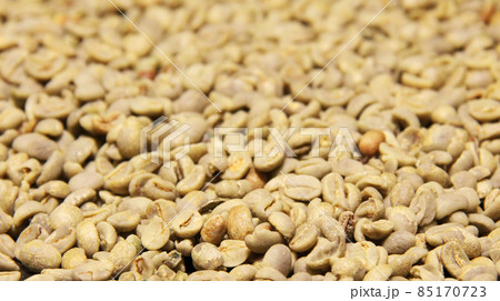 ブラジル産コーヒーの生豆 ブラジル産コーヒーの生豆 85170723