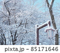 雪が積もった街灯と背景の木々 85171646