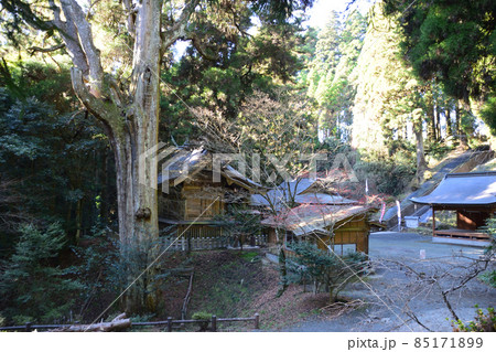 草部吉見神社 全景 草部吉見神社 全景 85171899