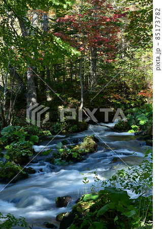 北海道ハイランド小清水 北海道ハイランド小清水 85173782