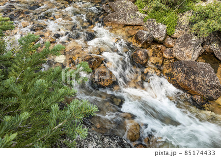 USA, Idaho, Stanley, Rocky creek in forest 85174433