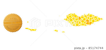 Socotra Archipelago Map Collage of Golden Parts and Metallic Hawaii Islands Seal Stamp 85174744