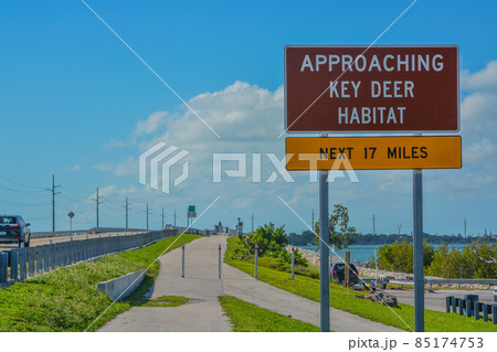 Approaching Key Deer Habitat Sign to protect the endangered deer in the Florida Keys 85174753