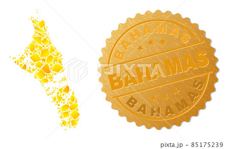 Andros Island of Bahamas Map Collage of Gold Items and Metallic Bahamas Badge 85175239