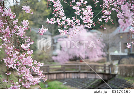 田舎の春のイメージに使いやすい日本の里山の春の桜のある風景2 85176169