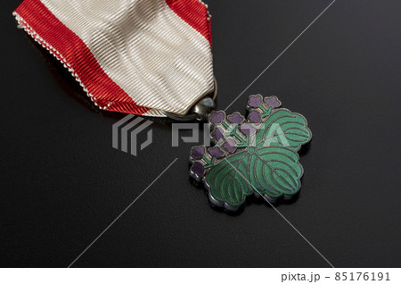 勲七等青色桐葉章 85176191