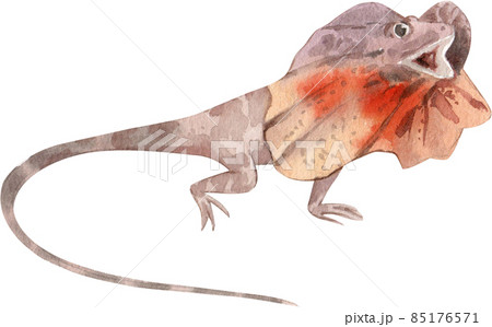 Cartoon amphibians and reptiles watercolor clipart png 85176571