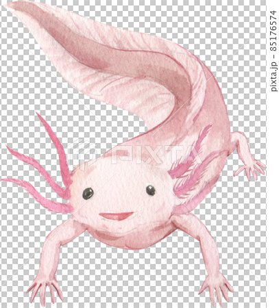 Cartoon amphibians and reptiles watercolor clipart png 85176574