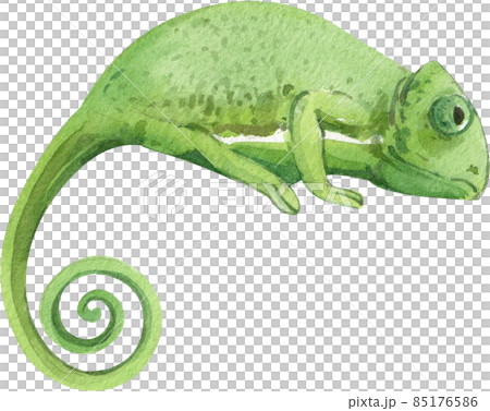 Cartoon amphibians and reptiles watercolor clipart png 85176586