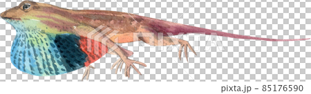 Cartoon amphibians and reptiles watercolor clipart png 85176590