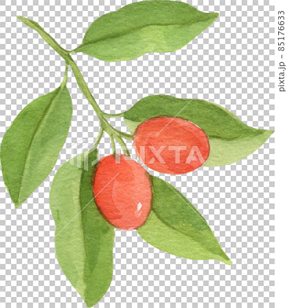 Green leaf watercolor clipart png Green leaf watercolor clipart png 85176633