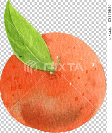 Orange fruit watercolor clipart png Orange fruit watercolor clipart png 85176636
