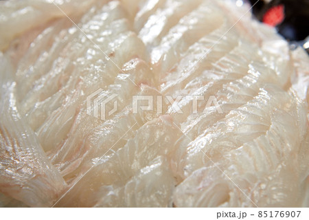 ヒラメ 回 魚 85176907