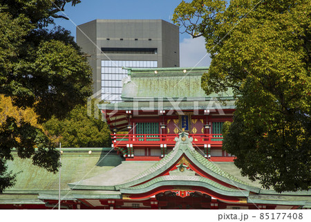 富岡八幡宮 85177408
