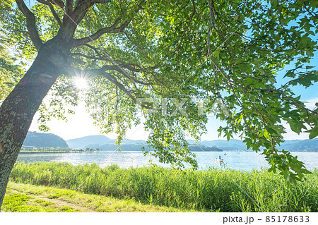東郷池周辺の新緑・初夏イメージ 東郷池周辺の新緑・初夏イメージ 85178633