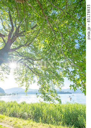 東郷池周辺の新緑・初夏イメージ 東郷池周辺の新緑・初夏イメージ 85178635