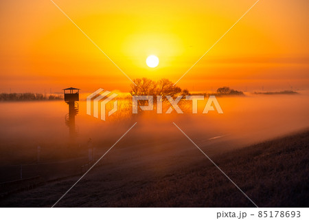 渡良瀬遊水地の夜明け【群馬・栃木・埼玉・茨城】 渡良瀬遊水地の夜明け【群馬・栃木・埼玉・茨城】 85178693