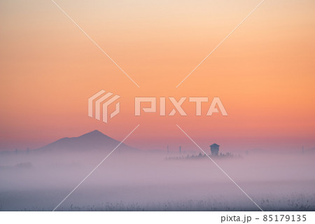 朝霧に包まれる筑波山【栃木県藤岡渡良瀬運動公園】 85179135