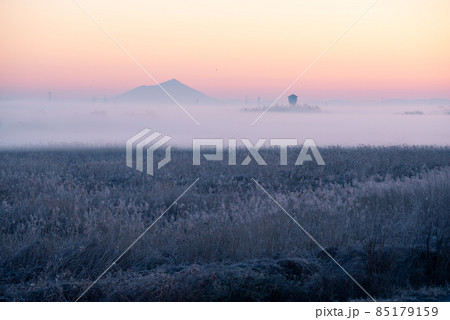 朝霧に包まれる筑波山【栃木県藤岡渡良瀬運動公園】 朝霧に包まれる筑波山【栃木県藤岡渡良瀬運動公園】 85179159