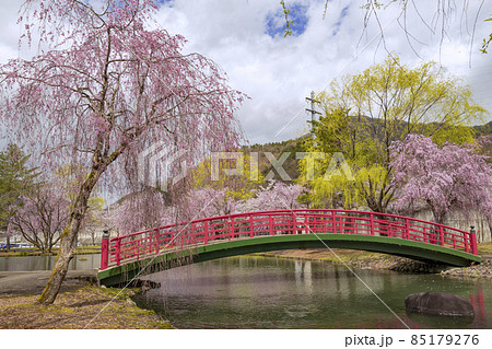 越後湯沢 湯沢中央公園の桜 越後湯沢 湯沢中央公園の桜 85179276
