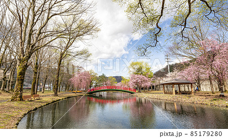 越後湯沢 湯沢中央公園の桜 越後湯沢 湯沢中央公園の桜 85179280