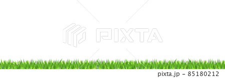 Green juicy grass on a white background 85180212