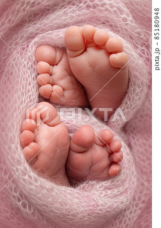 Feet of newborn twins. Two pairs of baby feet in a pink knitted blanket. Close up of toes, heels and feet of a newborn baby. The tiny foot of a newborn brothers, sisters. Studio Macro photography Feet of newborn twins. Two pairs of baby feet in a pink knitted blanket. Close up of toes, heels and feet of a newborn baby. The tiny foot of a newborn brothers, sisters. Studio Macro photography 85180948
