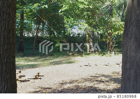 木の間から見える木の遊具が見える広場 85180968