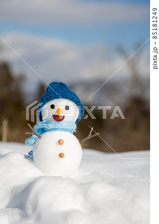青い帽子の雪だるま 85181249