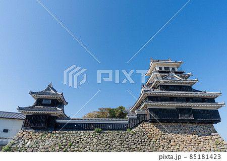 中津城　大分県中津市 85181423