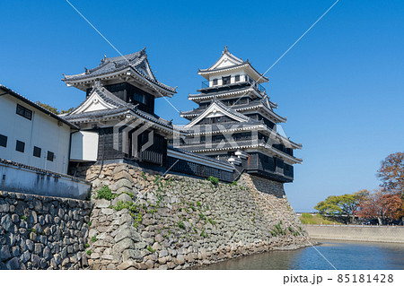 中津城　大分県中津市 85181428