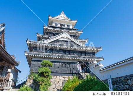 中津城　大分県中津市 85181431