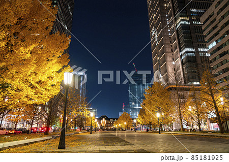 【東京都】東京駅に続く行幸通りの夜景 【東京都】東京駅に続く行幸通りの夜景 85181925